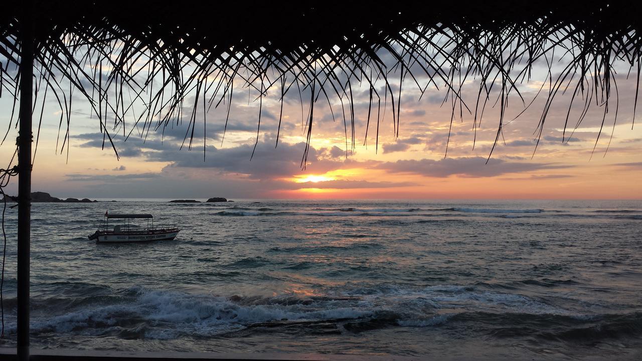 Coral Seas Beach Хикадува Екстериор снимка